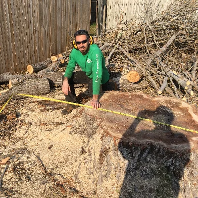 Bp Trees, LLC