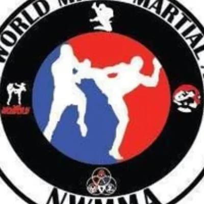 New World Mixed Martial Arts