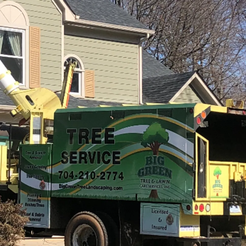 Big Green Tree And Lawn Care Services Inc