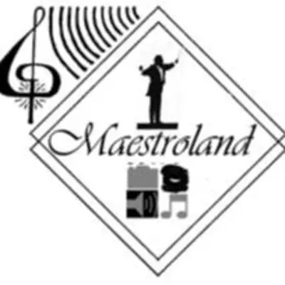 Maestroland LLC