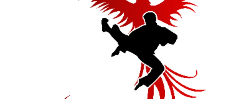 Rising Phoenix Martial Arts, LLC