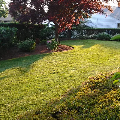 Angelos Landscaping Contractor