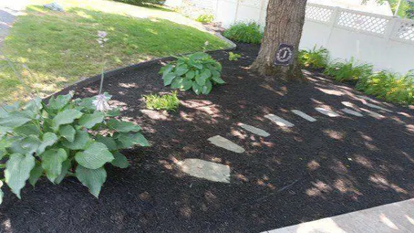 Planting & Stepping Stone Layout in Mulch Add