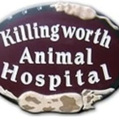 Killingworth Animal Hospital