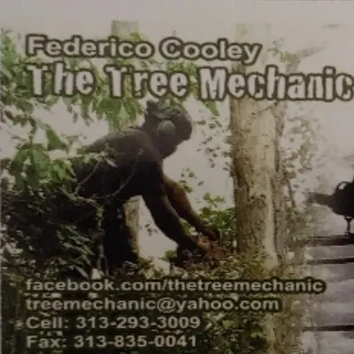 The Tree Mechanic