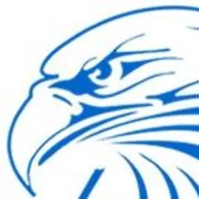 Blueagle Cleaning Company
