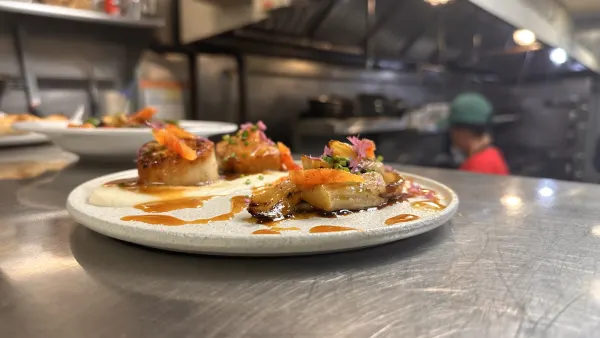 Seared U-10 Diver Scallops