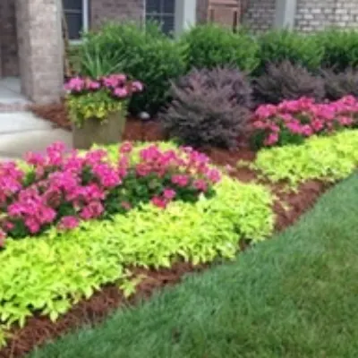 Pro Turf Landscaping