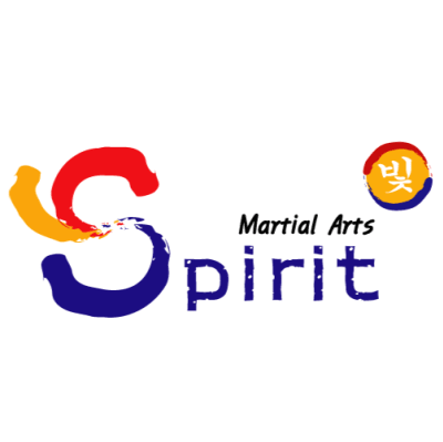 Martial Arts Spirit Academy