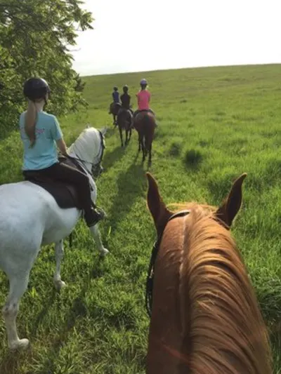 Fire Stables Equestrian