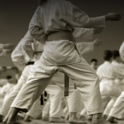 Dunlap School Of Karate