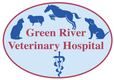 Green River Veterinary Hospital