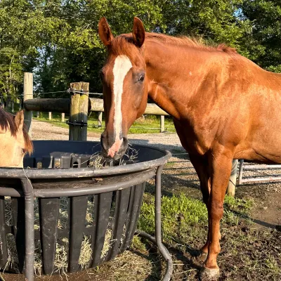 Woodcreek Farm 