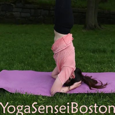 Yoga Sensei Boston