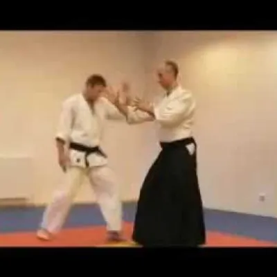 Aikido Lessons