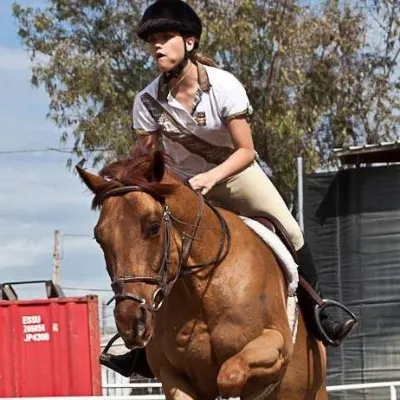 Chelsfield Riding Stable