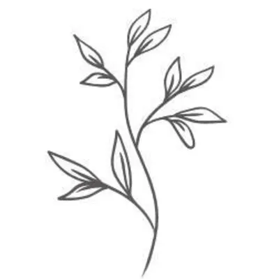 Mint To Be Photography