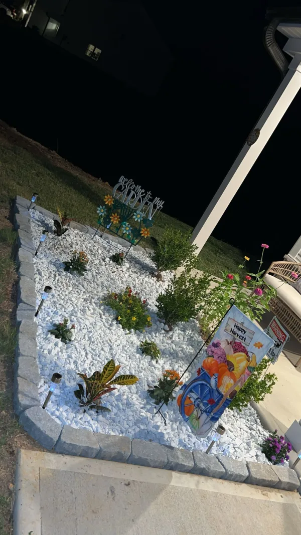 Made this flower bed 