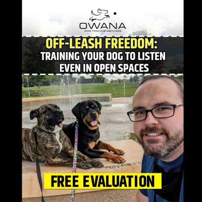 Owana Dog Training Services