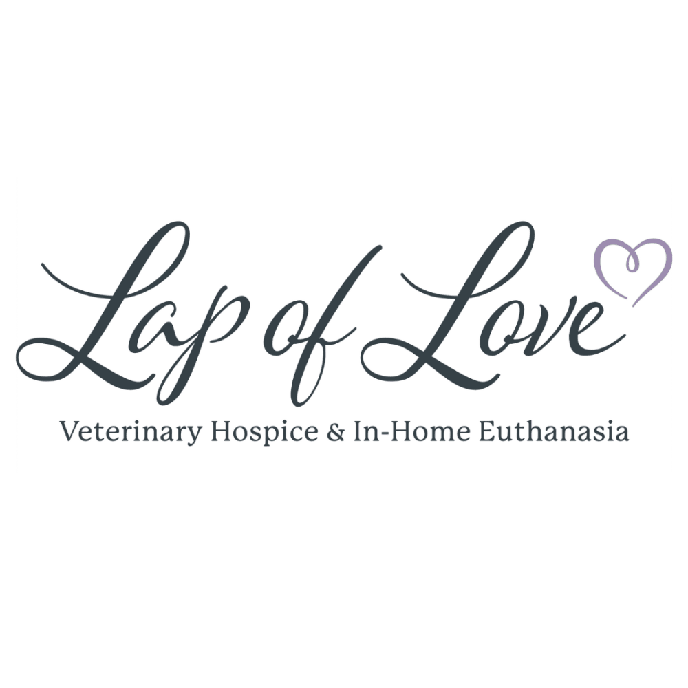 Lap Of Love