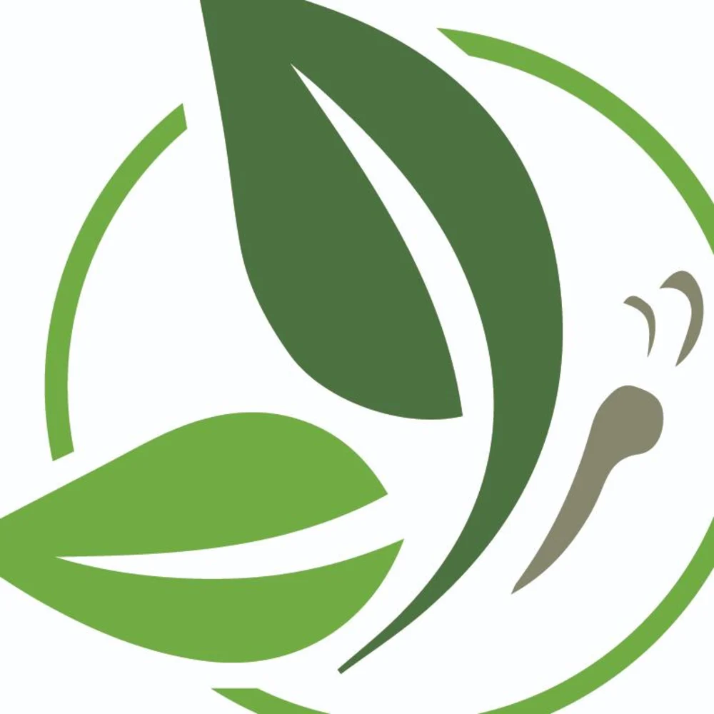 GS Lawn And Landscaping