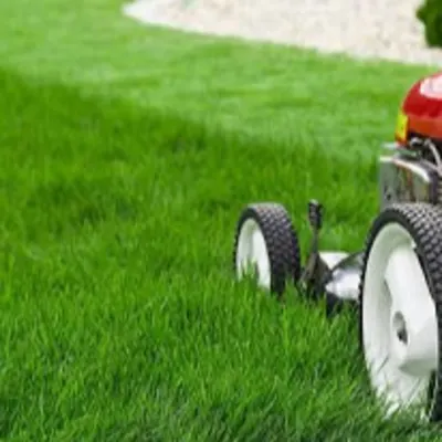 L & S Mowing