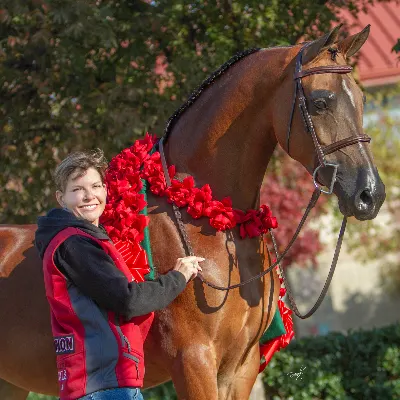 WHISTLEJACKET FARM