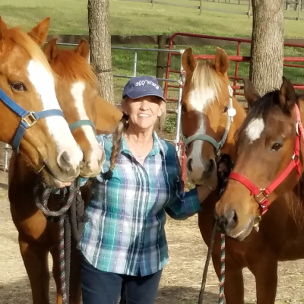 Experience Equus LLC