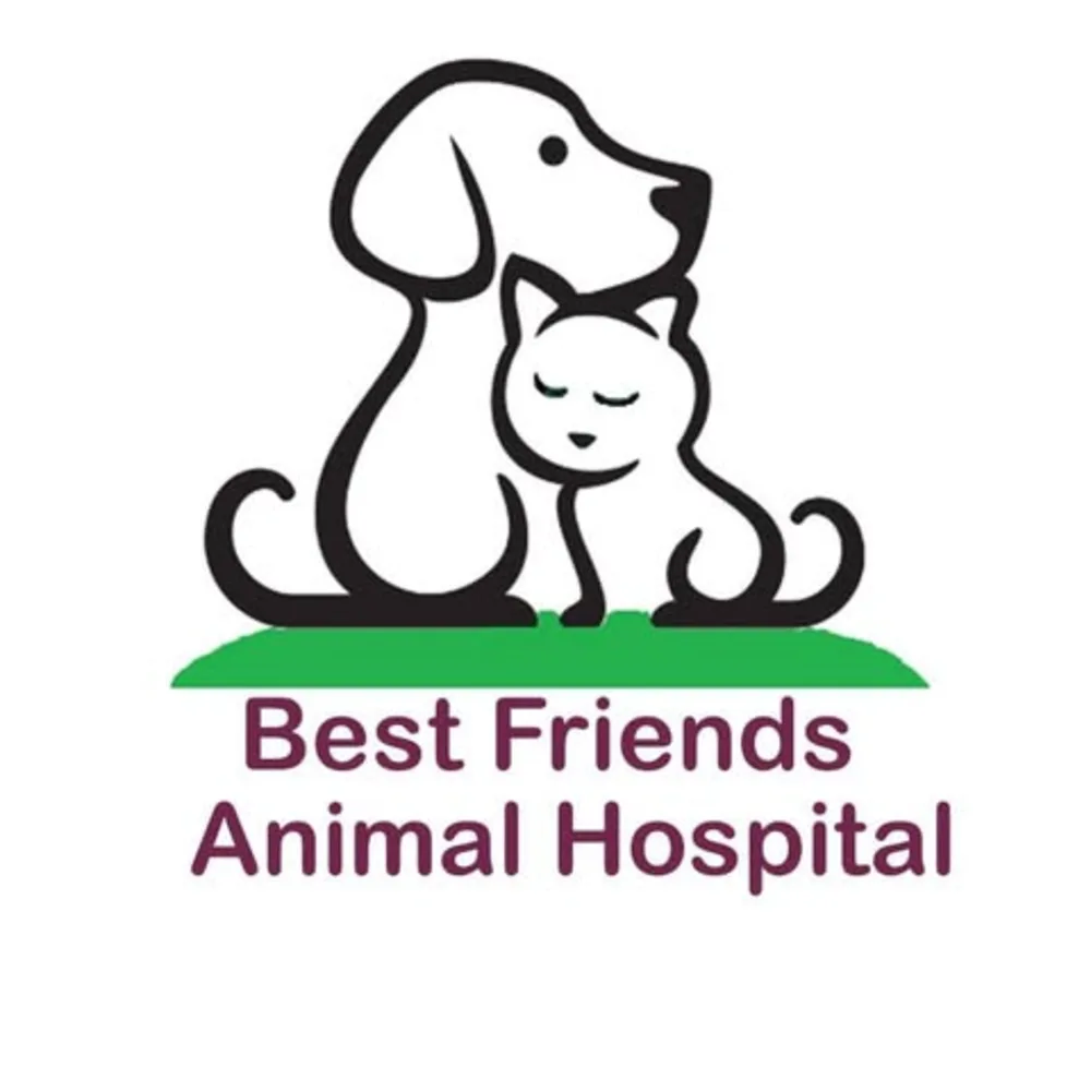 Best Friends Animal Hospital