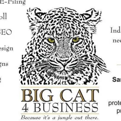 Big Cat 4 Business