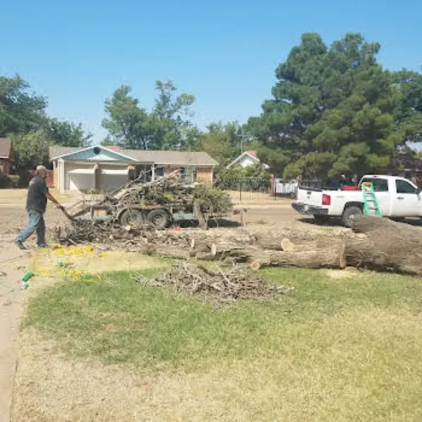 Bringing a tree down is one hing