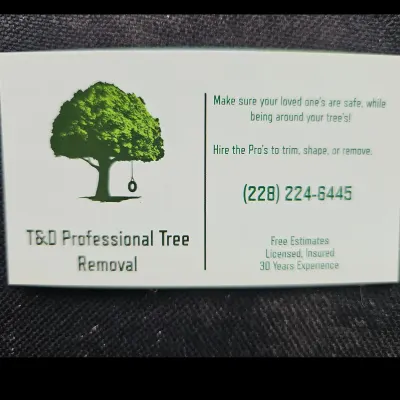 T&D Professional Tree Removal