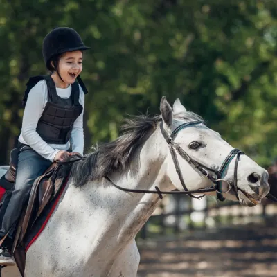 Free Spirit Equestrian LLC