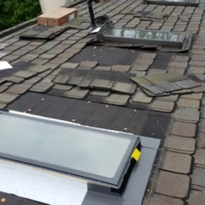 Better Homes Services & Repairs