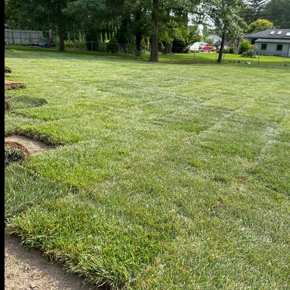 Gilbert & Sons Landscaping