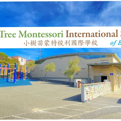 Little Tree Montessori Int'l School Of El Cerrito