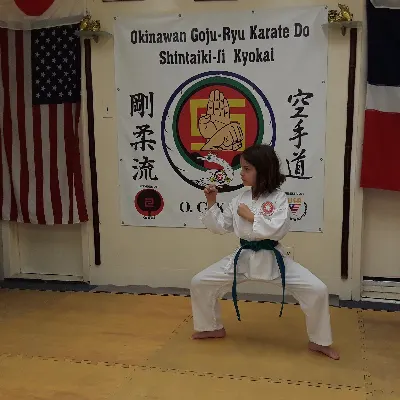 Shintaiki-Ji New York Martial Arts School