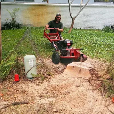 C & M Stump Grinding + Sod Installation