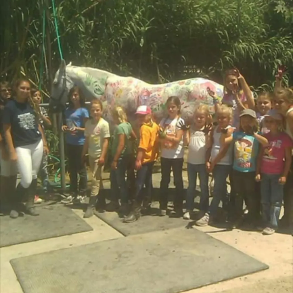 Equestricise