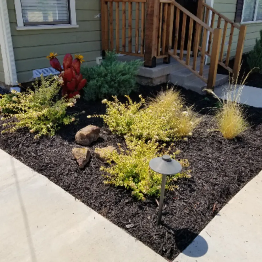 Garden Whisperer