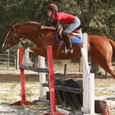 Keystone Stables