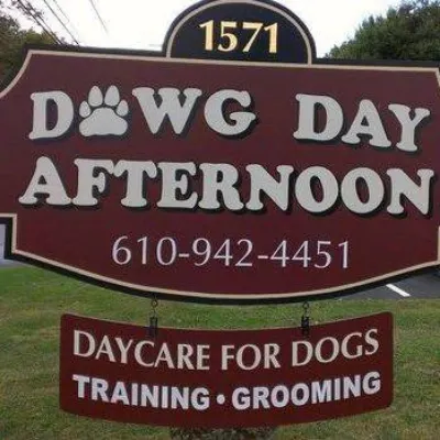 Dawg Day Afternoon