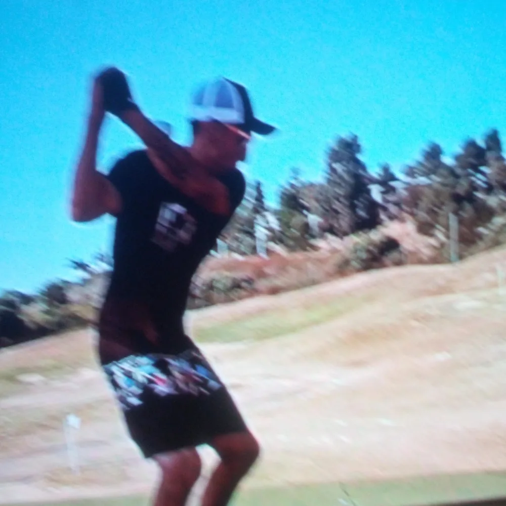 Sureswing