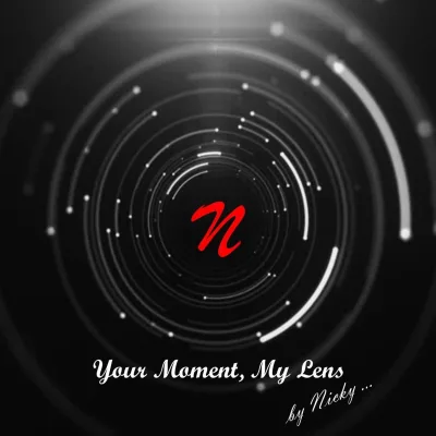 Your Moment, My Lens