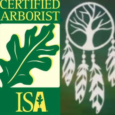 Native Arbor Care