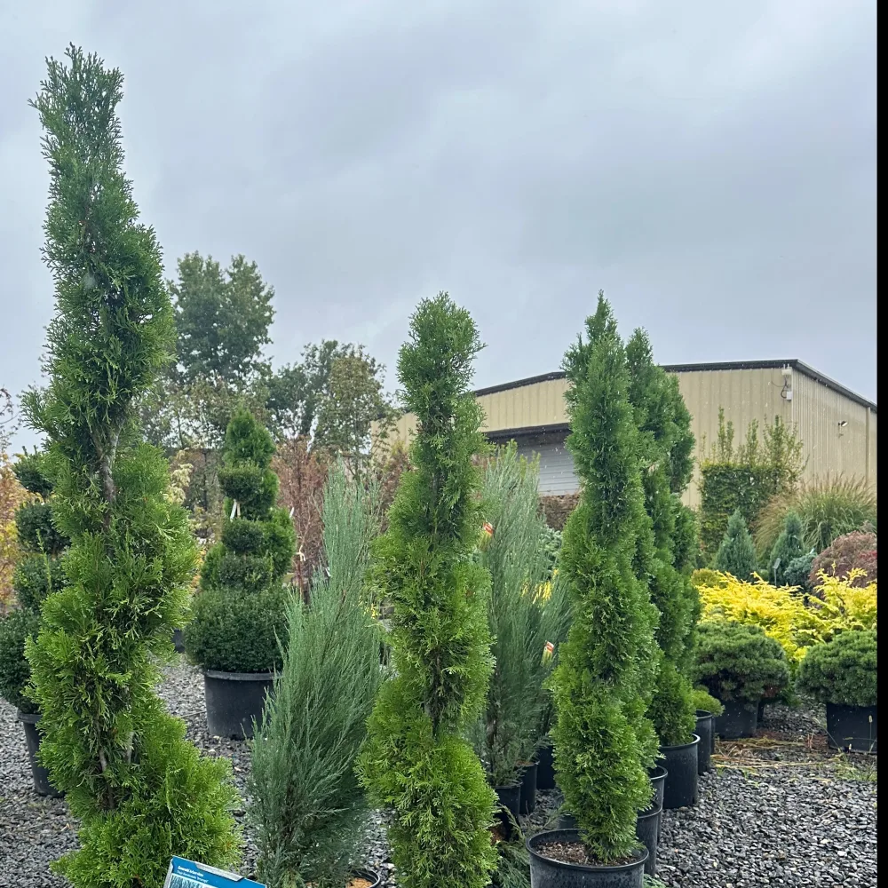 Holy Land Landscape & Fencing Concrete