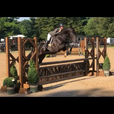 Hunter Vale Show Stables