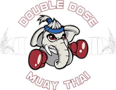 Double Dose Muay Thai And Fitness