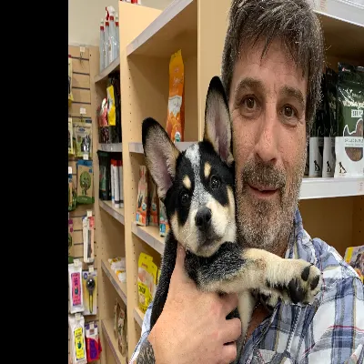 Nashville Canine Behavioral Center
