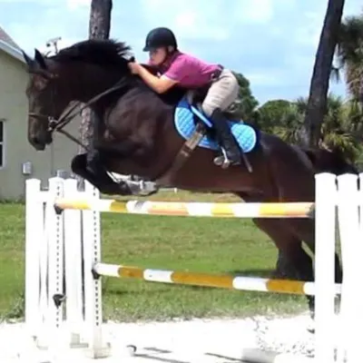 Amber Lee Stables